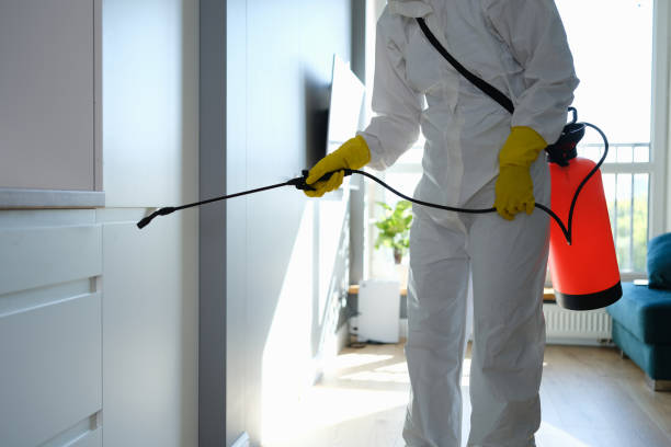 Best Professional Mold Removal  in Hudsonville, MI